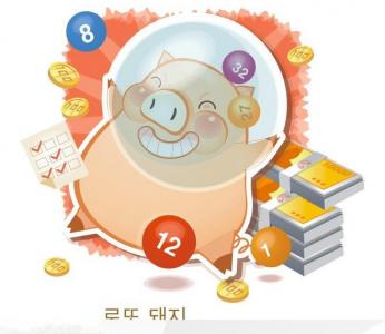 十二生肖猪图片  可爱小猪生活日常图片第5张