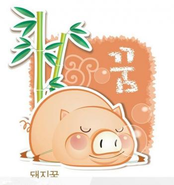 小猪图片 _ 第(10)张