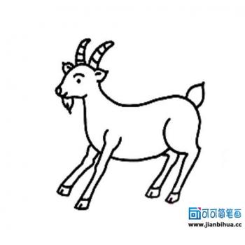 儿童发型图片 _ 第(4)张