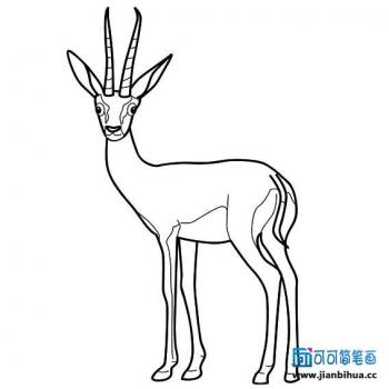 儿童发型图片 _ 第(5)张