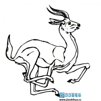儿童发型图片 _ 第(8)张