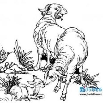 儿童发型图片 _ 第(28)张