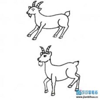 儿童发型图片 _ 第(30)张