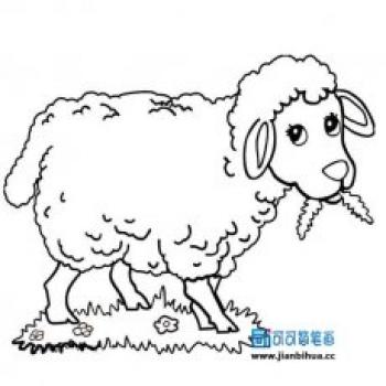 儿童发型图片 _ 第(34)张