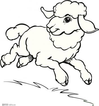 山羊图片 _ 第(33)张