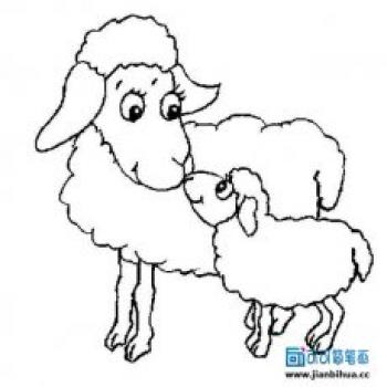 山羊图片 _ 第(65)张