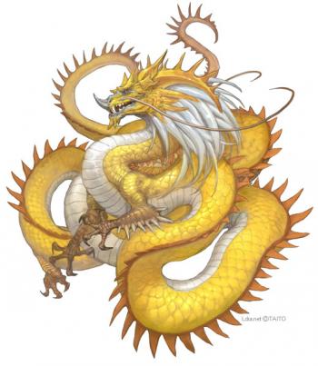 图片 _ 第(5)张 图片 _ 第(5)张
