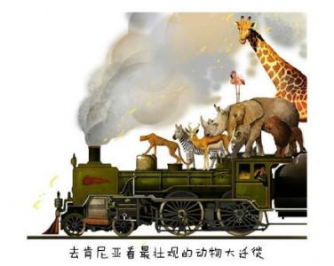国际旅游小姐性感旗袍秀第0张