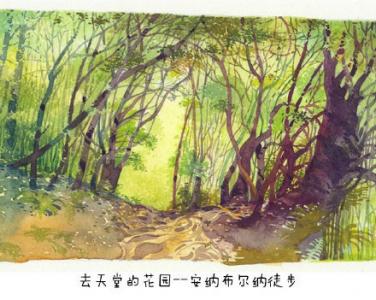 国际旅游小姐性感旗袍秀第2张
