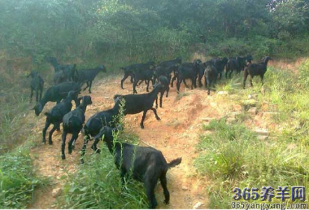 图片 _ 第(4)张