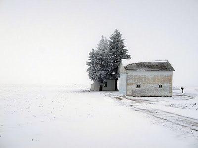 大雪覆盖下的轨迹自然风景诗意图片第4张