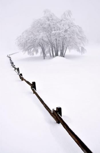 大雪覆盖下的轨迹自然风景诗意图片第6张