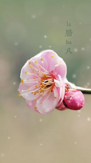 节日图片 _ 第(4)张