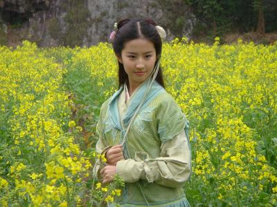 刘亦菲图片 _ 第(5)张