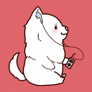 图片 _ 第(5)张