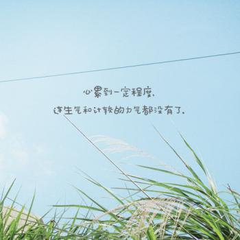 唯美暖心的文字语录图片第5张