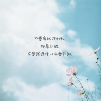 文字图片 _ 第(8)张