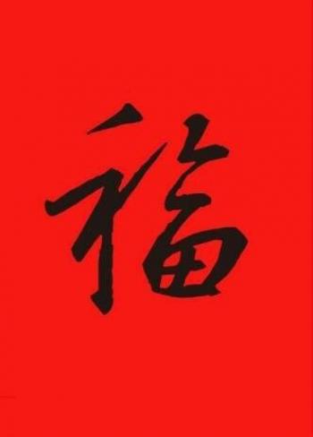 第3张