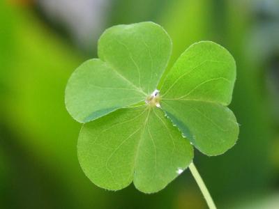 风光图片图片 _ 第(9)张