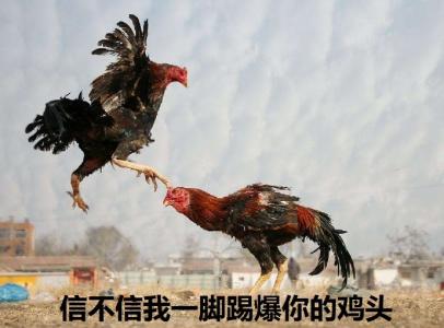 图片 _ 第(1)张