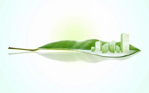 清新护眼高清风景图片第6张