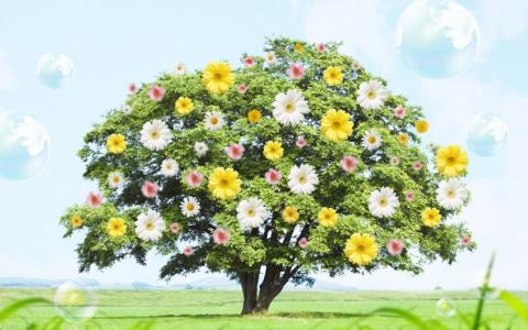 24节气唯美风光图片桌面壁纸第4张
