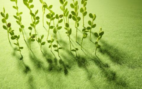 第1张