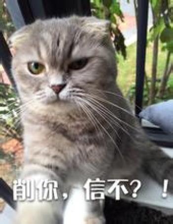 幽默搞笑图片 _ 第(4)张