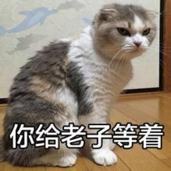 幽默搞笑图片 _ 第(6)张