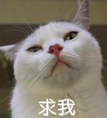 幽默搞笑图片 _ 第(7)张