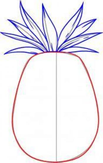 水果壁纸图片 _ 第(4)张