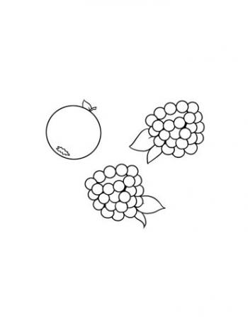 蓝莓图片 _ 第(5)张