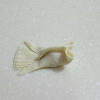 金鱼图片 _ 第(7)张