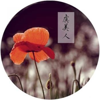 植物图片 _ 第(22)张