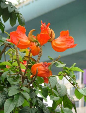 图片 _ 第(1)张