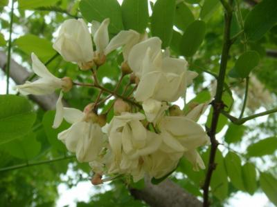 图片 _ 第(3)张