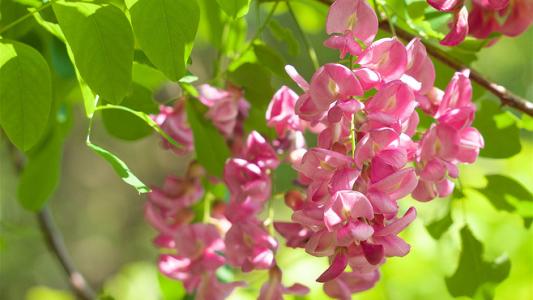 图片 _ 第(5)张