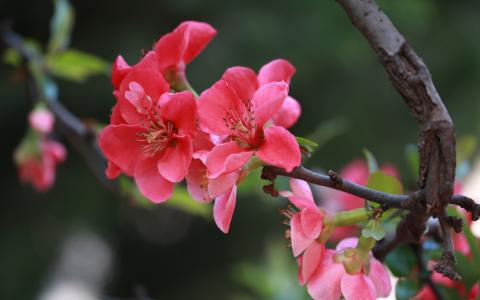 图片 _ 第(20)张