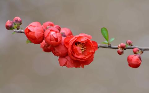 图片 _ 第(21)张