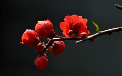 图片 _ 第(22)张