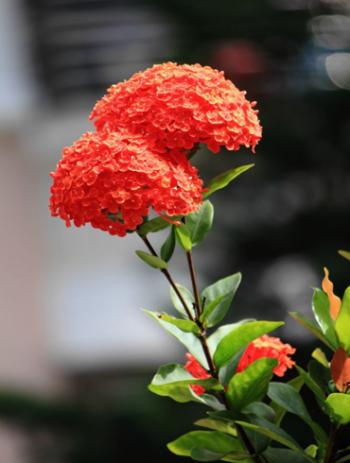 图片 _ 第(3)张