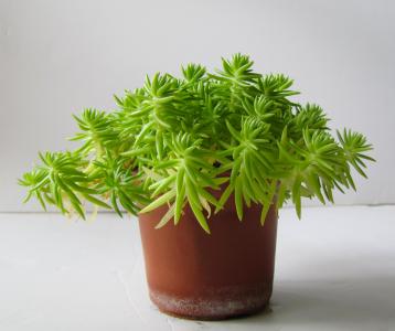 图片 _ 第(4)张