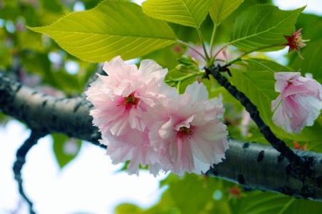 图片 _ 第(4)张