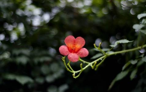 图片 _ 第(6)张
