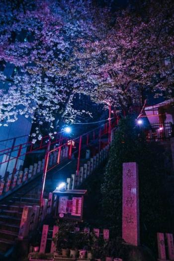 图片 _ 第(3)张