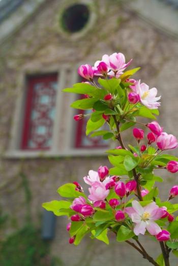 图片 _ 第(7)张