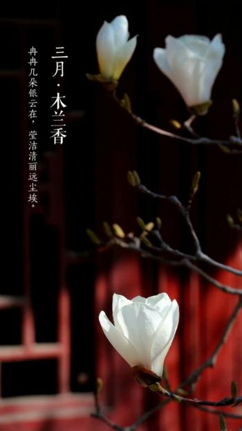 图片 _ 第(1)张
