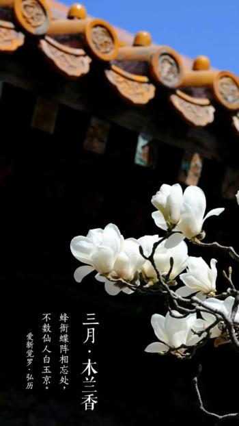 图片 _ 第(10)张