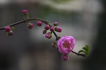 图片 _ 第(5)张
