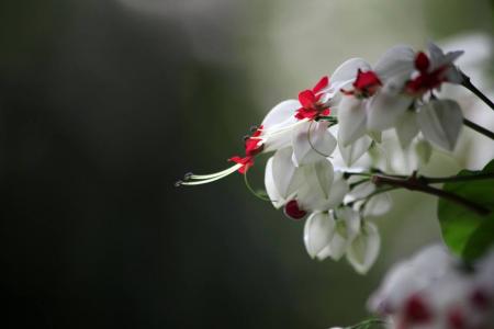 图片 _ 第(7)张
